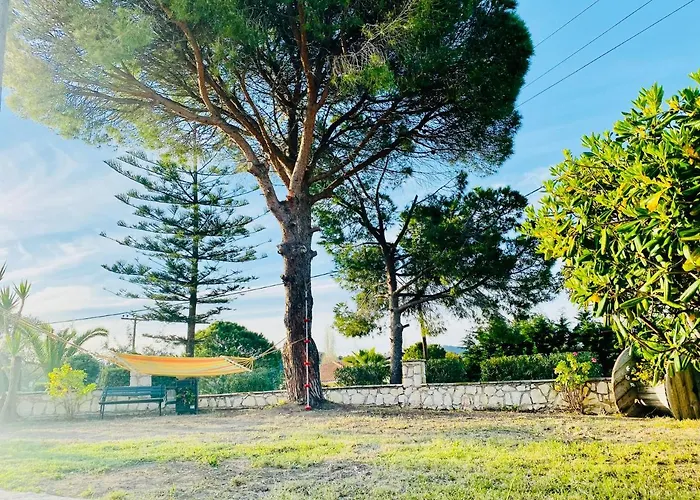 Java Geva Zen Living